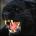 leokadiaryj's Avatar