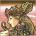 joannaogon's Avatar